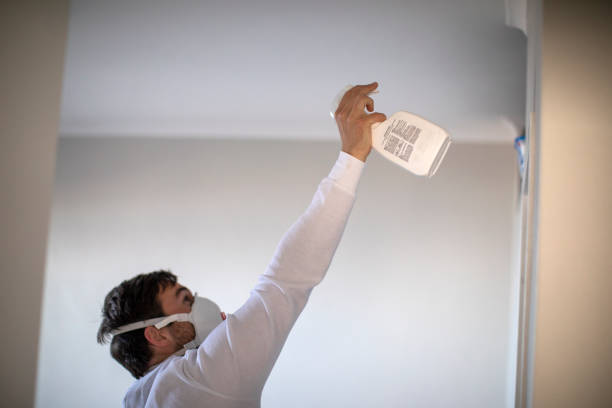 Best Commercial Mold Remediation in Maywood, CA